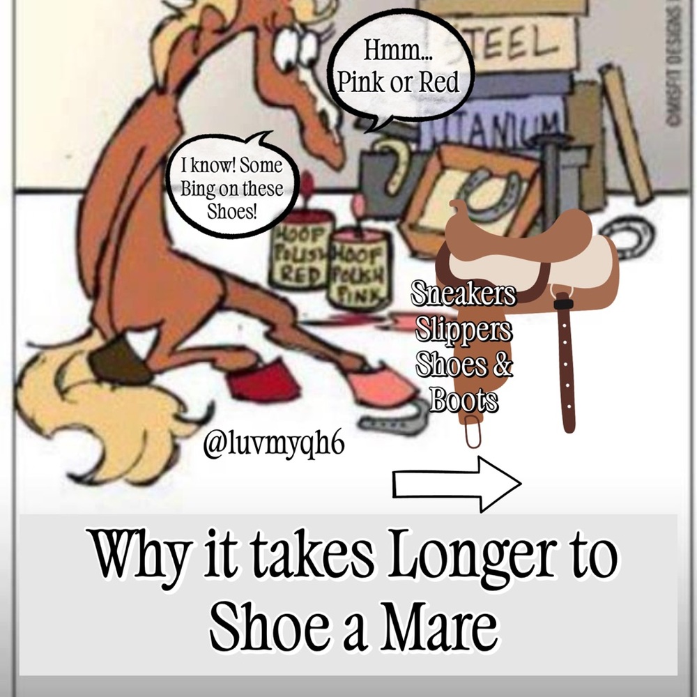 Shoes Boots Sandals & Slippers